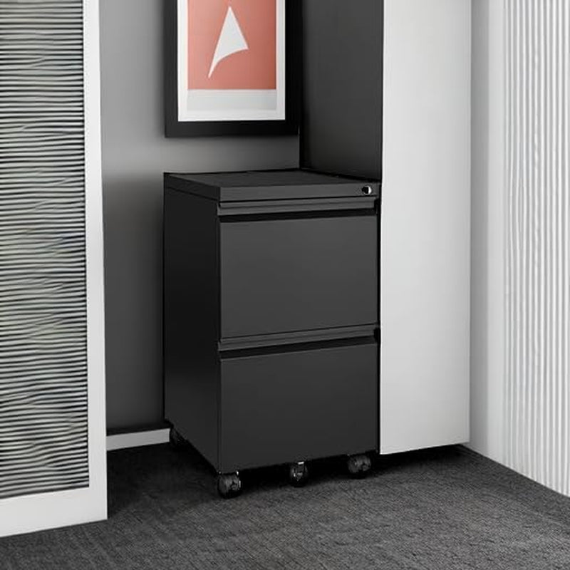 2 Drawer File Cabinet on Wheels, Home Office Mobile under Desk with