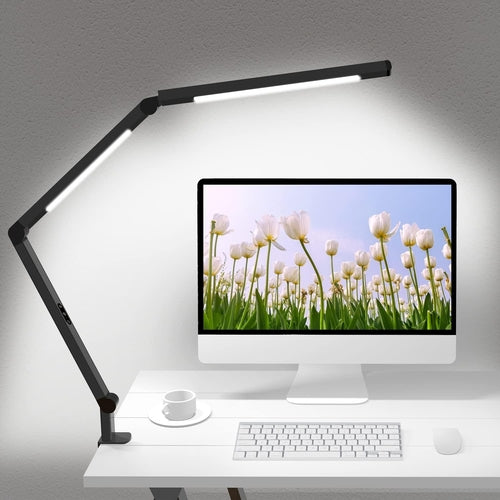 LED Desk Lamp with Clamp, Architect Desk Lamp with Dual Light and