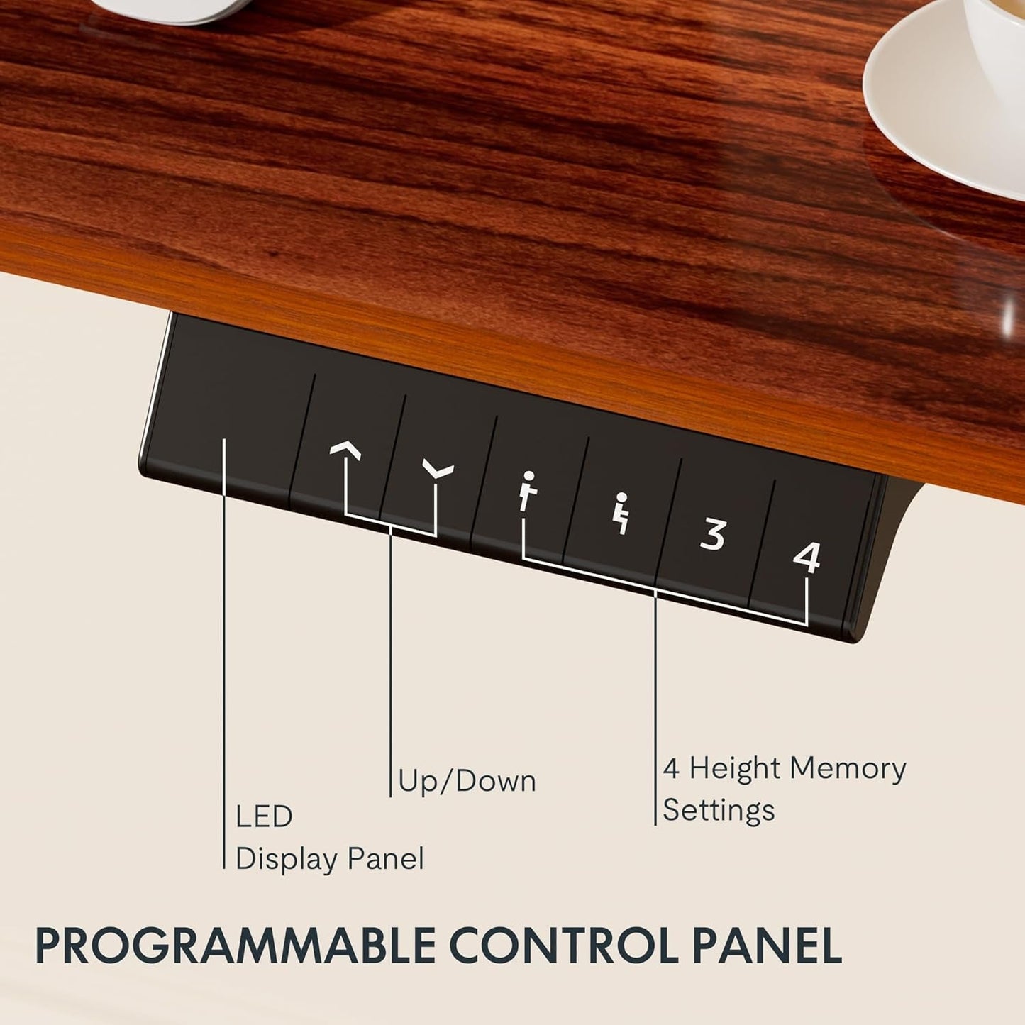 EN1 Whole-Piece Standing Desk 48 X 24 Inches Height Adjustable Desk,