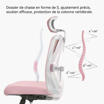 Sihoo M18 Ergonomic Office Chair, Computer Desk Chair with Adjustable