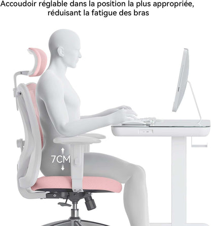Sihoo M18 Ergonomic Office Chair, Computer Desk Chair with Adjustable