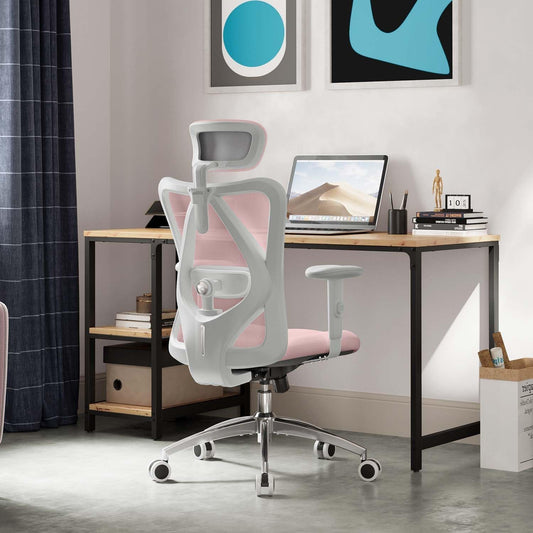 Sihoo M18 Ergonomic Office Chair, Computer Desk Chair with Adjustable