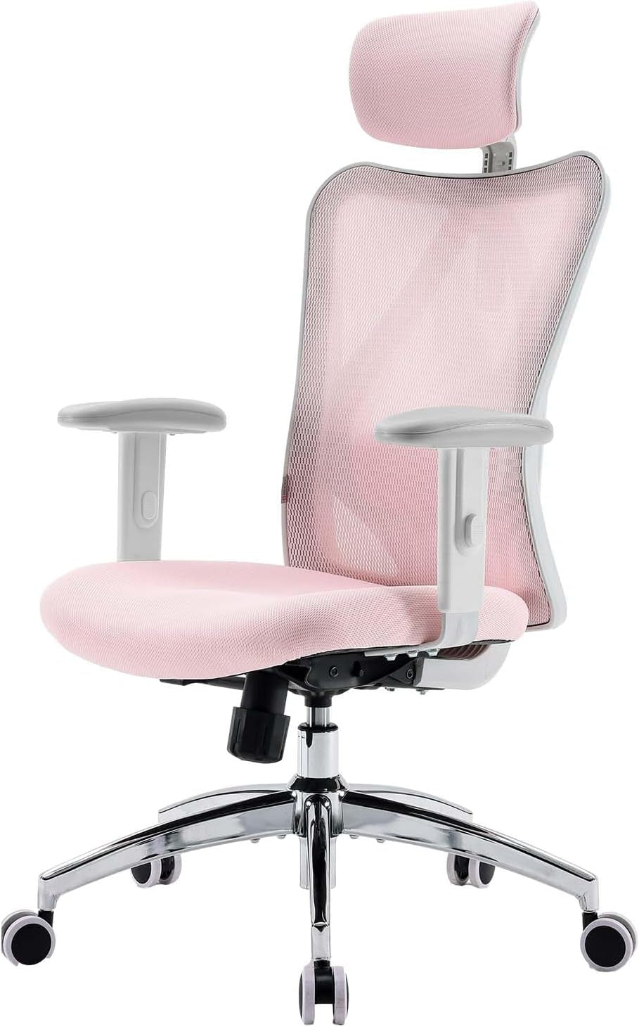 Sihoo M18 Ergonomic Office Chair, Computer Desk Chair with Adjustable