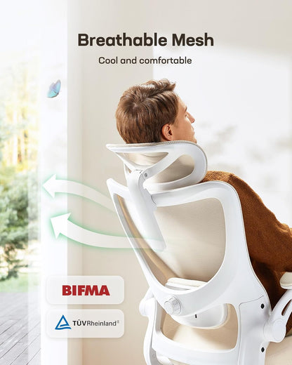 Ergonomic Office Chair: Office Computer Desk Chair with High Back Mesh