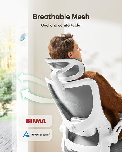 Ergonomic Office Chair: Office Computer Desk Chair with High Back Mesh