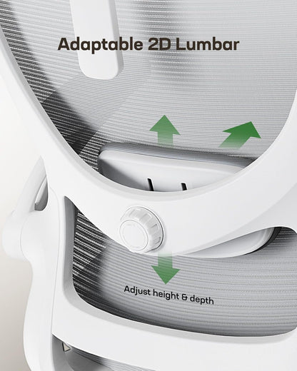 Ergonomic Office Chair: Office Computer Desk Chair with High Back Mesh