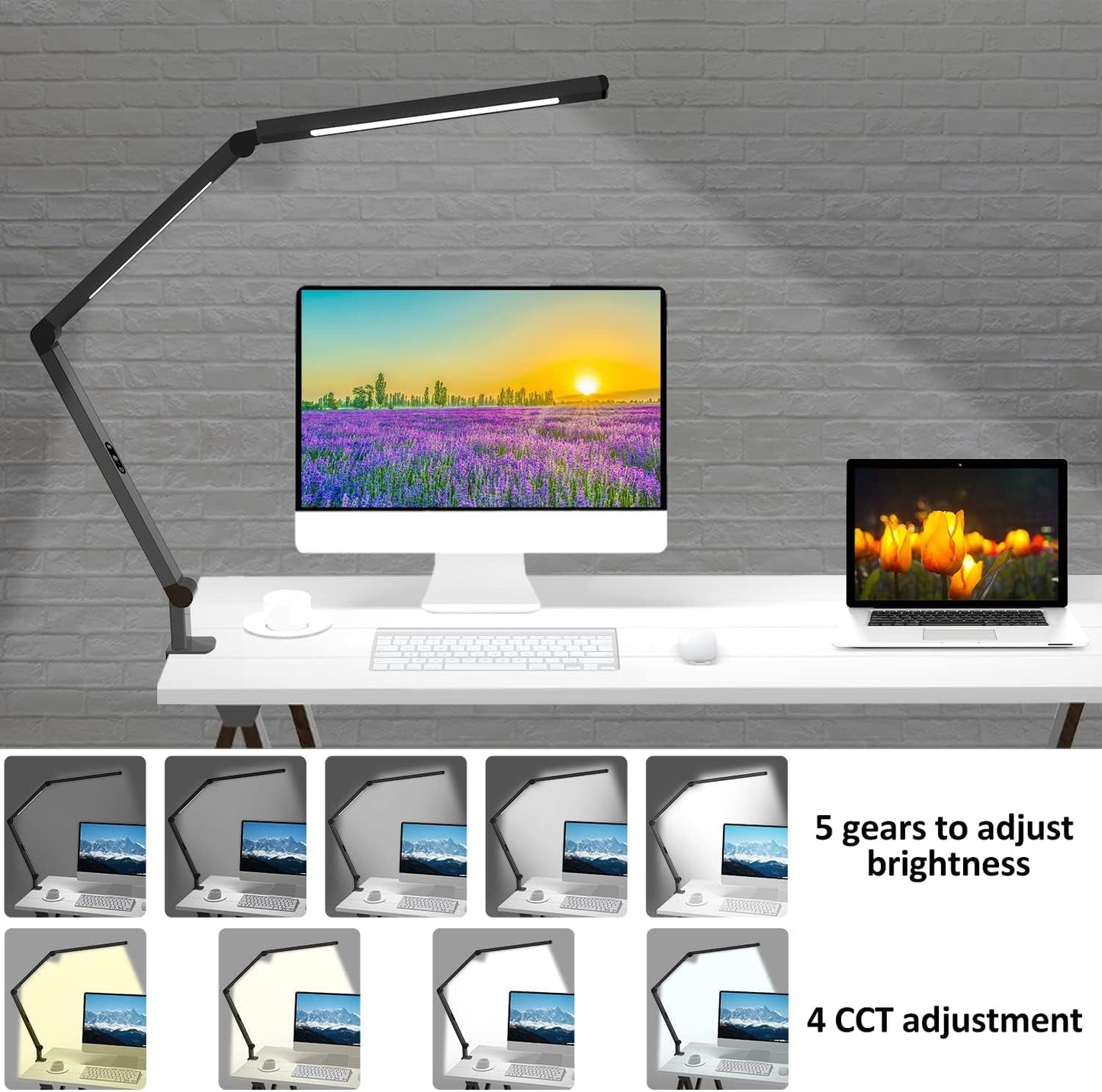 LED Desk Lamp with Clamp, Architect Desk Lamp with Dual Light and