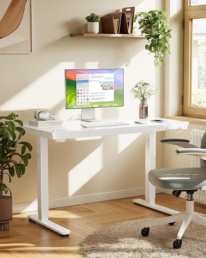 Glass Standing Desk with Drawer, 48 X 24 Inch Electric Standing Desk,